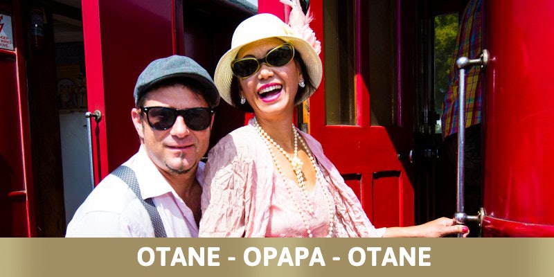 Vintage Railcar RM31 Shuttles