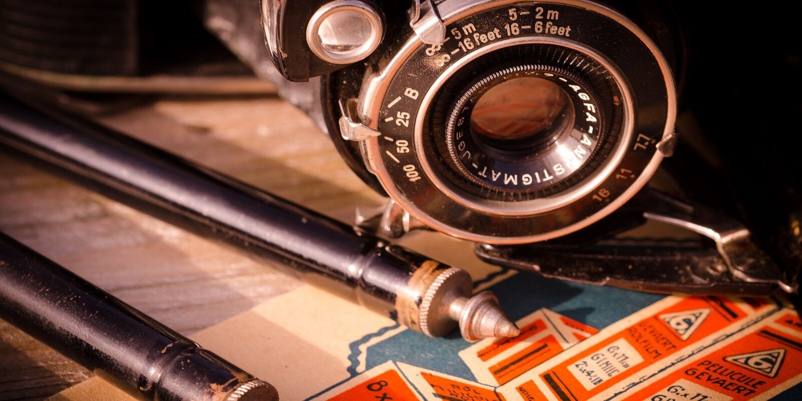 Collectors Paradise Tour