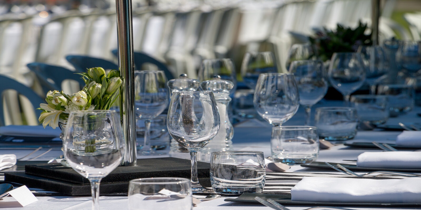 Festival Launch Luncheon