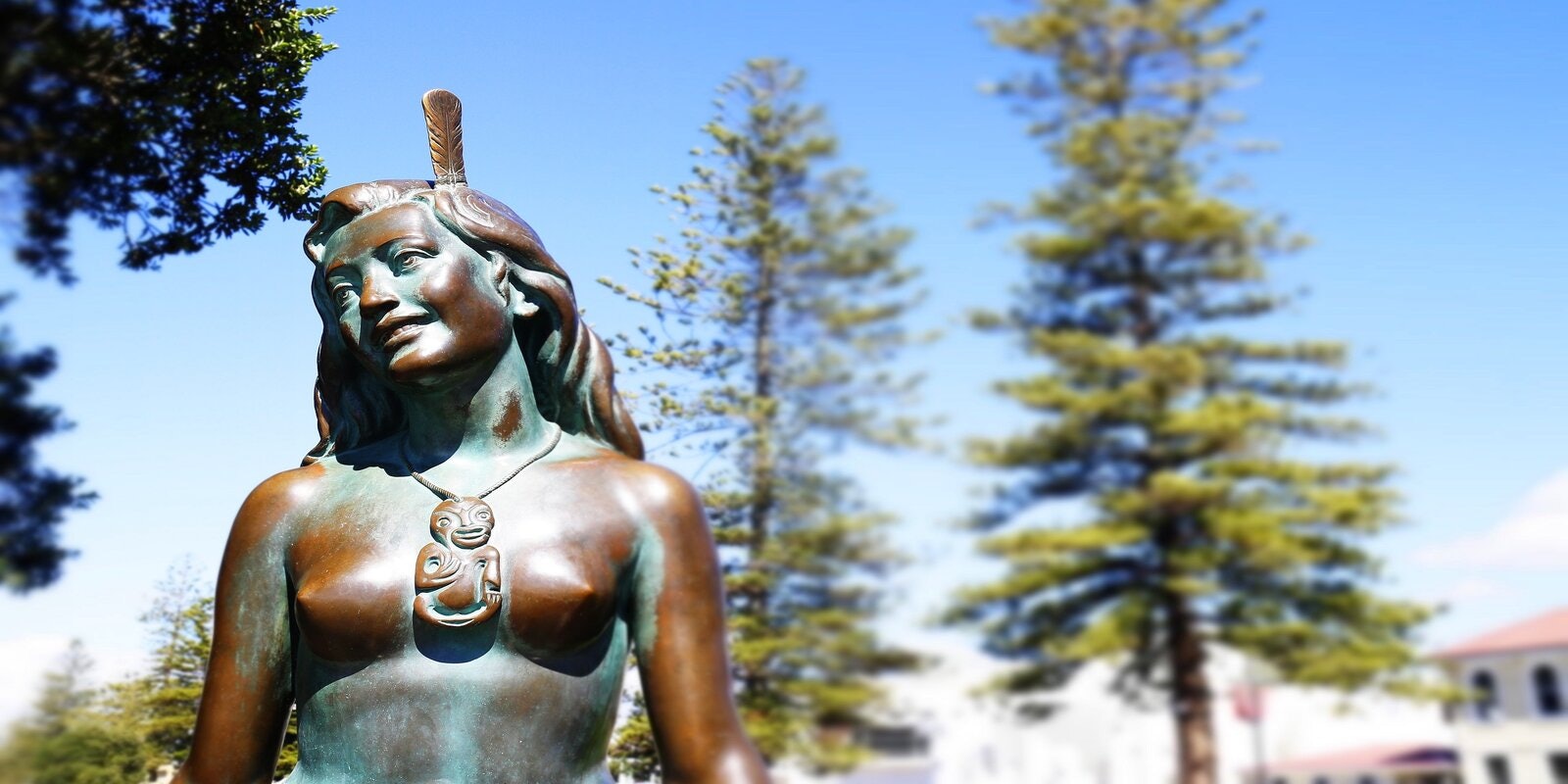 Napier Cultural Hikoi (Walking) Tour