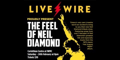 The Feel Of Neil Diamond