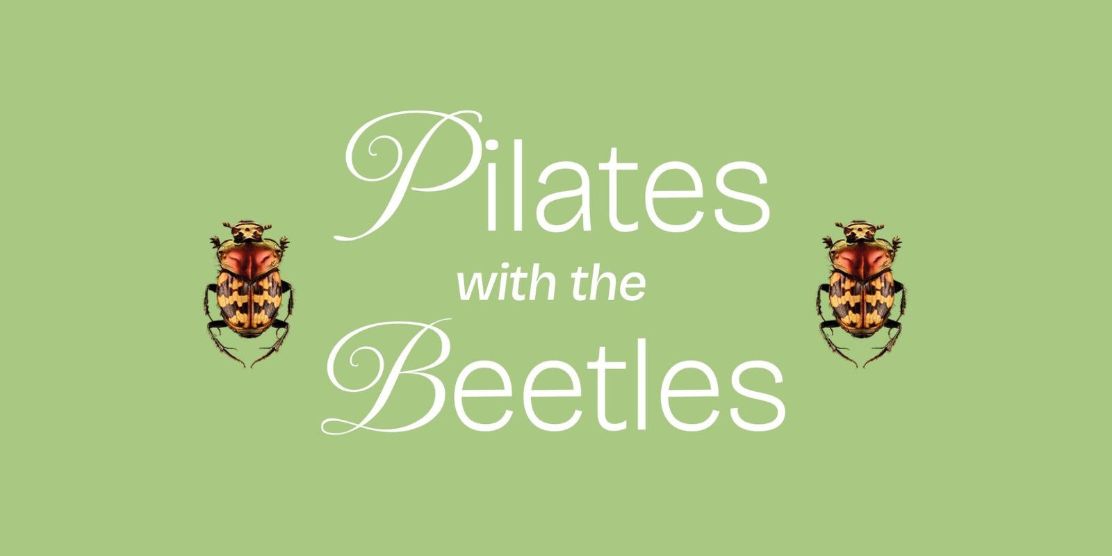 Pilates with the Beetles